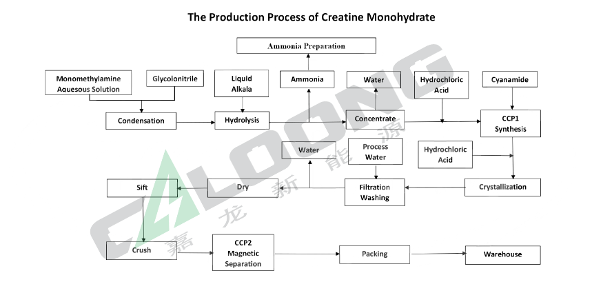 The production process of creatine monohydrate 500mesh 600mesh 200mesh 99.9% creatine monohydrate